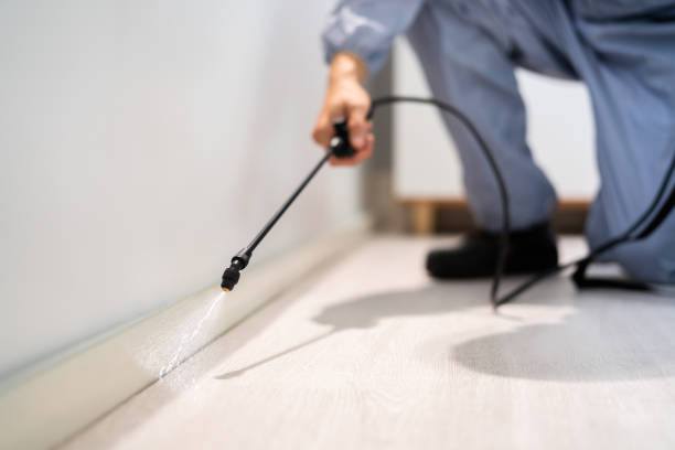 Licensed Cockroach Control service in Elkridge, MD - Nex Pest Control