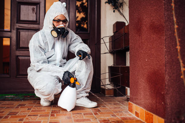 Reliable Cockroach Control contractor in Elkridge, MD by Nex Pest Control