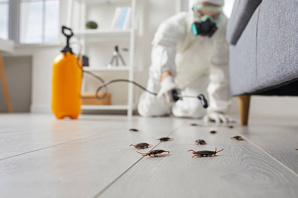 Trusted Emergency Pest Control service in Elkridge, MD - Nex Pest Control