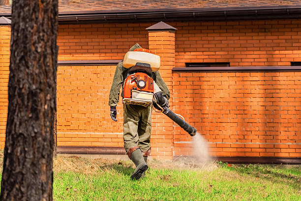 Trusted Bed Bug Control service in Elkridge, MD - Nex Pest Control